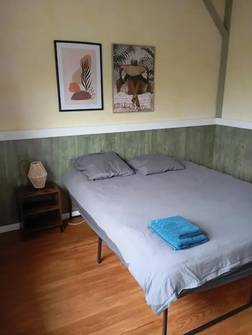 Appartement Lourdes Proche Sanctuaire Duplex 12 Voyageurs 150M2 Lit Bebe Et Balcon Fumeur En Exterieur