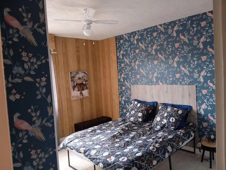Appartement Lourdes Proche Sanctuaire Duplex 12 Voyageurs 150M2 Lit Bebe Et Balcon Fumeur En Exterieur
