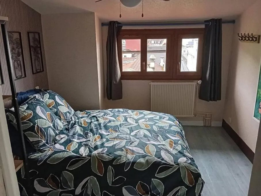 Appartement Lourdes Proche Sanctuaire Duplex 12 Voyageurs 150M2 Lit Bebe Et Balcon Fumeur En Exterieur France