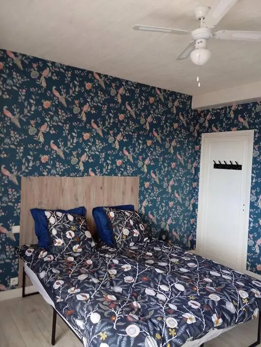 Appartement Lourdes Proche Sanctuaire Duplex 12 Voyageurs 150M2 Lit Bebe Et Balcon Fumeur En Exterieur France